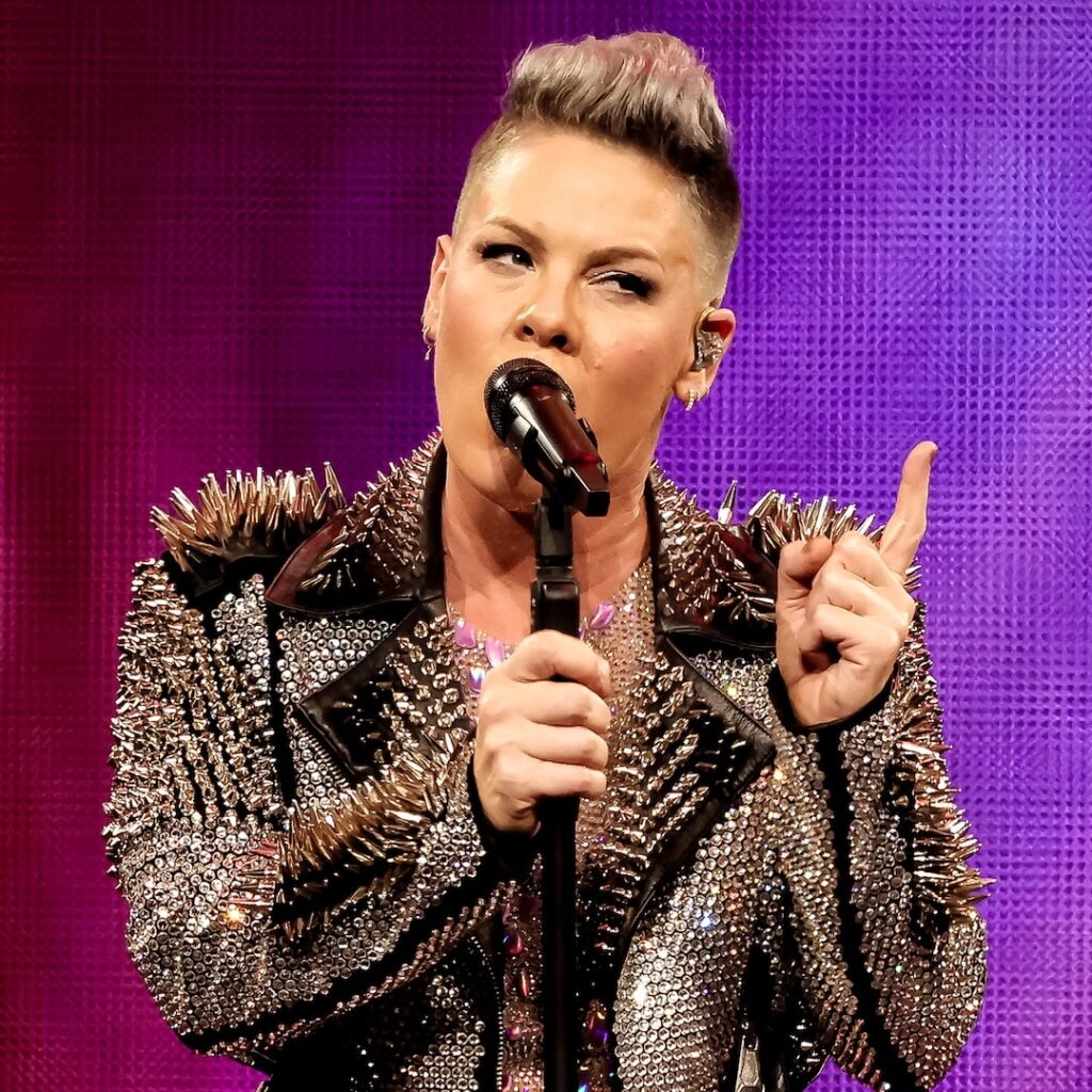 Pink’s Rare Photo With Her, Carey Hart's Kids