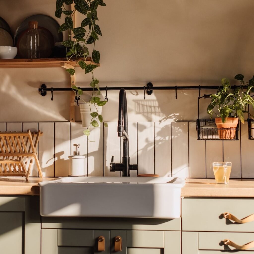 This $20 Amazon Insect Trap Saved My Kitchen