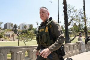 Chicago Federal Judge Hauls Bovino in to Court