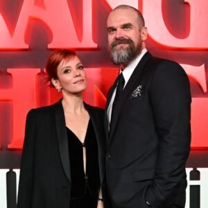 Lily Allen Alludes to David Harbour Breakup