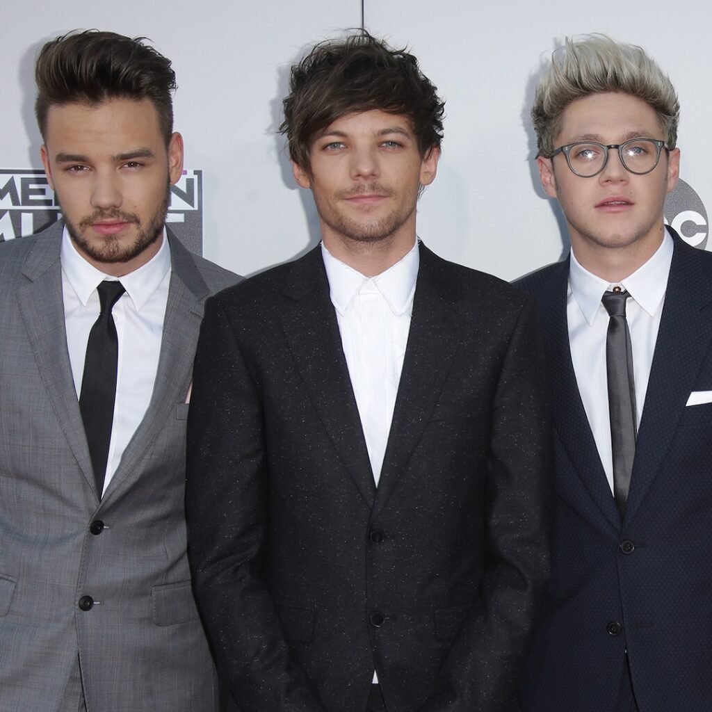 One Direction's Louis Tomlinson Learned Liam Payne Died Through Niall Horan