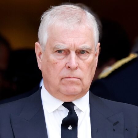 Prince Andrew Gives Up Titles: What's Next