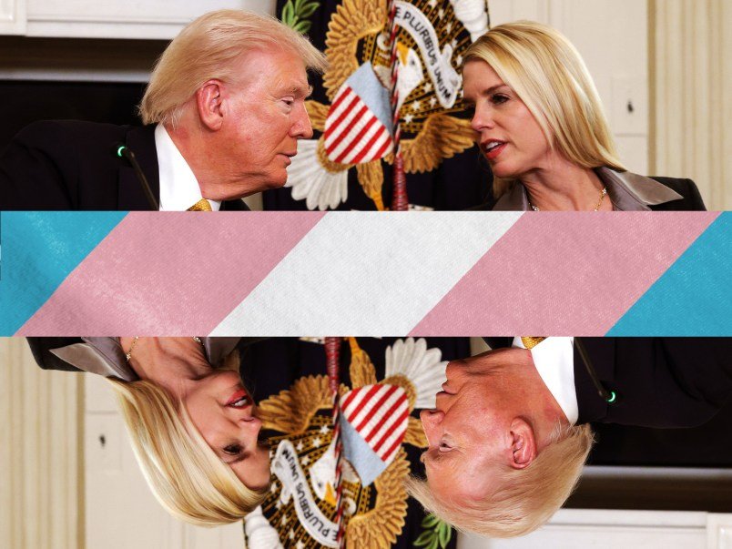 Trump’s DOJ Keeps Losing in Court Over Bids to Eliminate Gender-Affirming Care Trump’s DOJ Keeps Losing in Court Over Bids to Eliminate Gender-Affirming Care