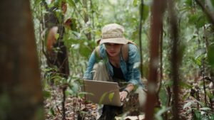 To Keep Climate Science Alive, Researchers Are Speaking in Code To Keep Climate Science Alive, Researchers Are Speaking in Code