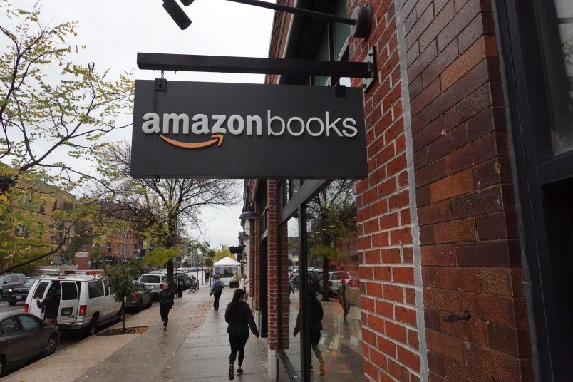 Far-right Exults at Brief Amazon ‘Suppression’ of Favorite Racist Book
